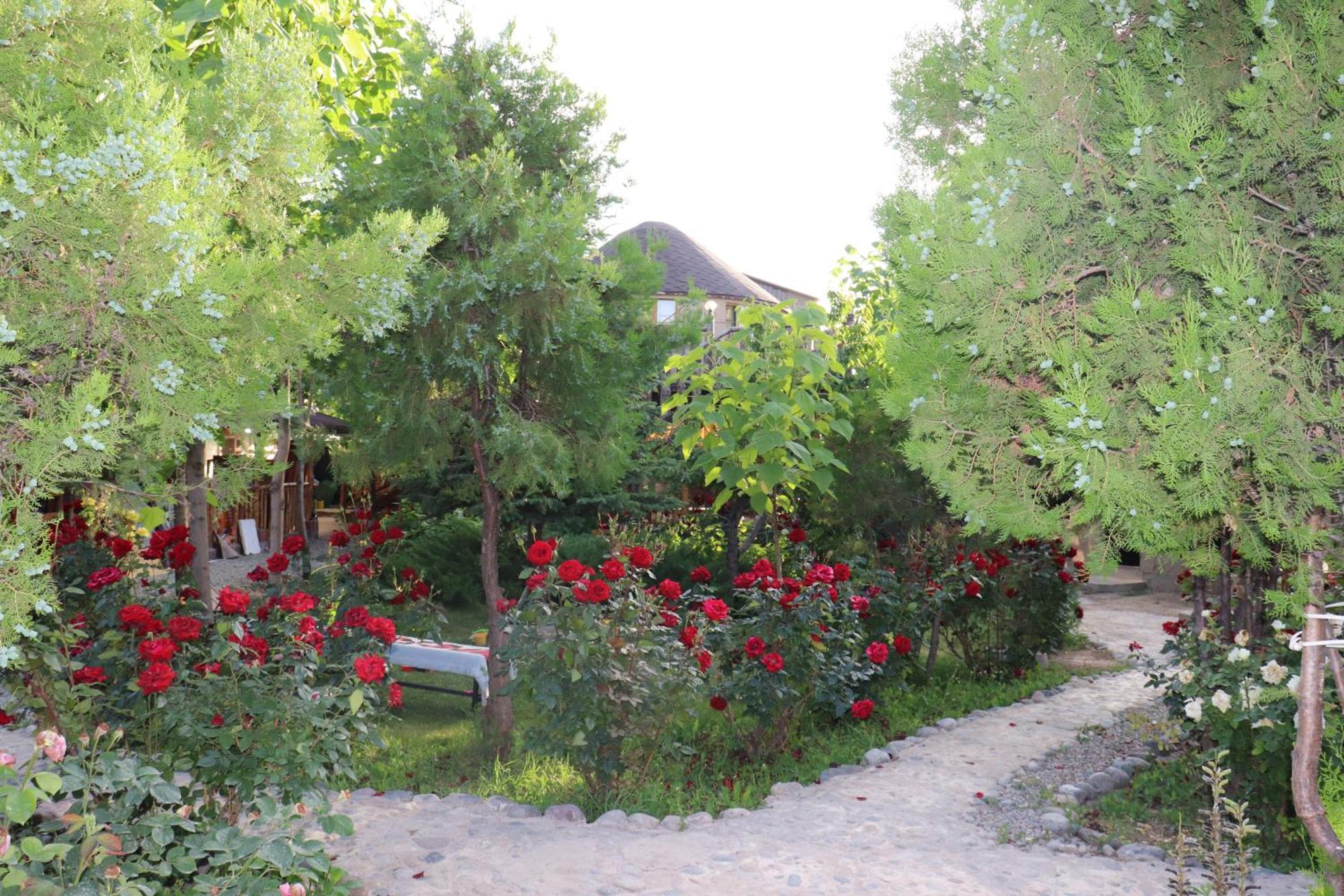 קראקול Happy Nomads Yurts & Hostel מראה חיצוני תמונה