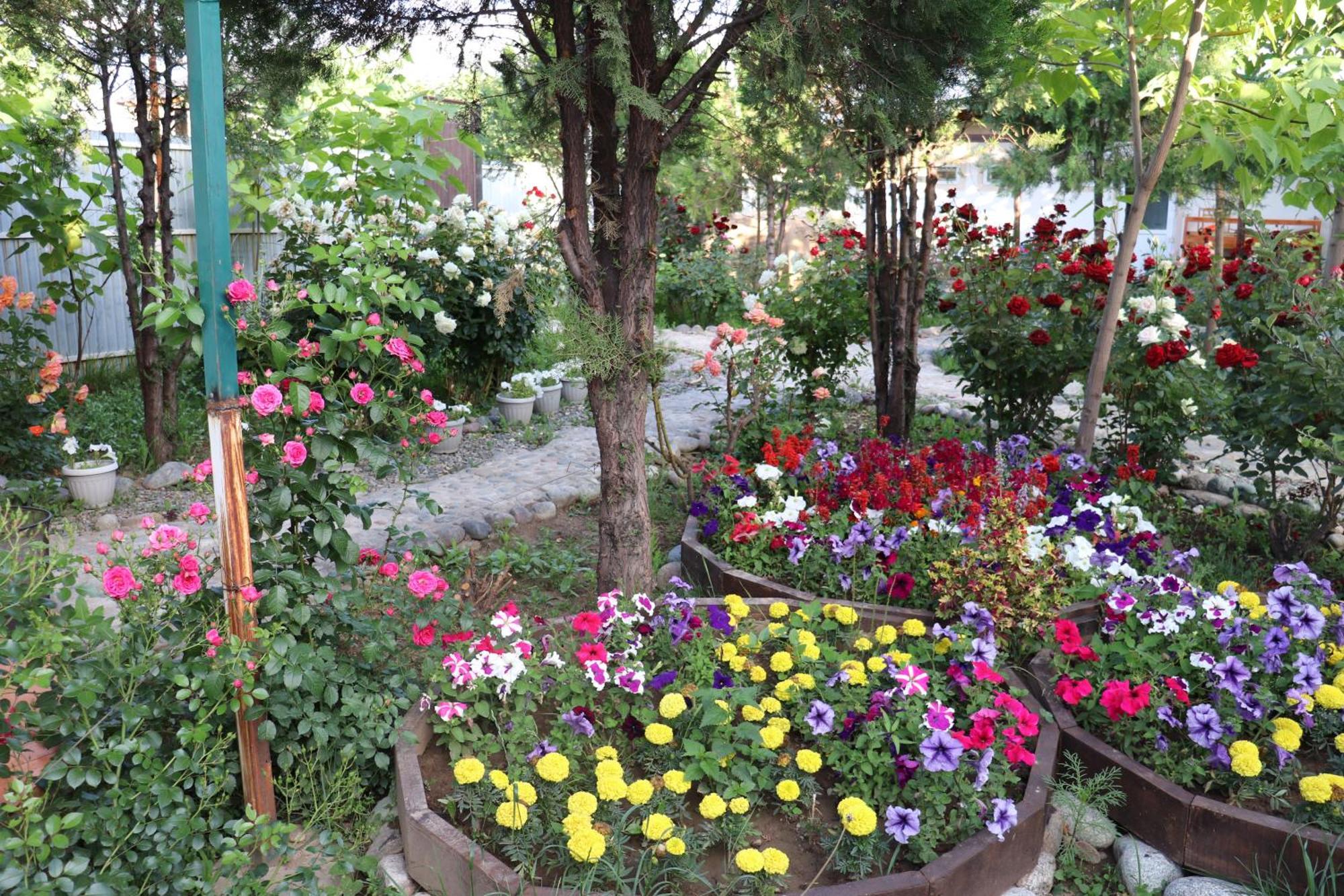 קראקול Happy Nomads Yurts & Hostel מראה חיצוני תמונה