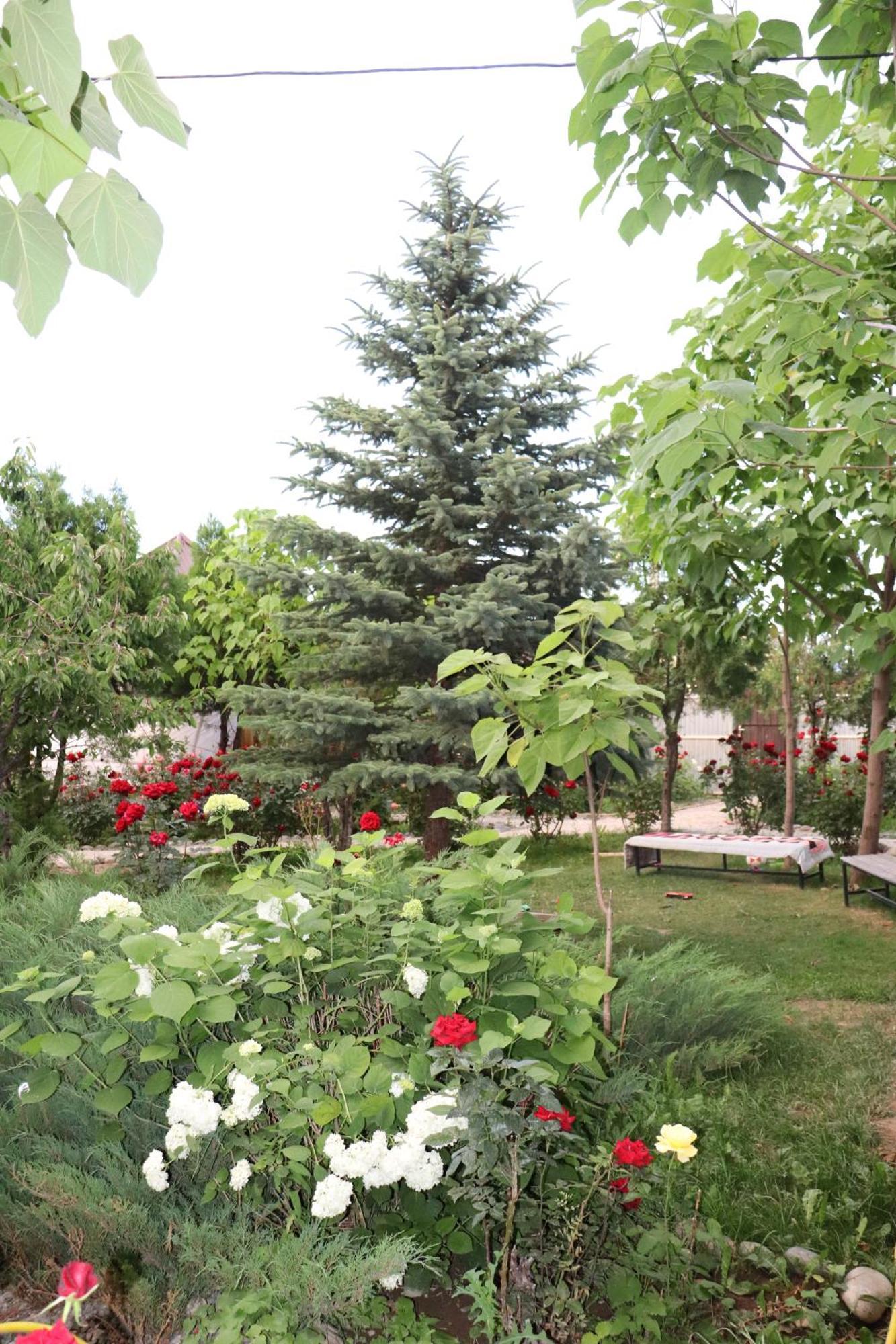 קראקול Happy Nomads Yurts & Hostel מראה חיצוני תמונה