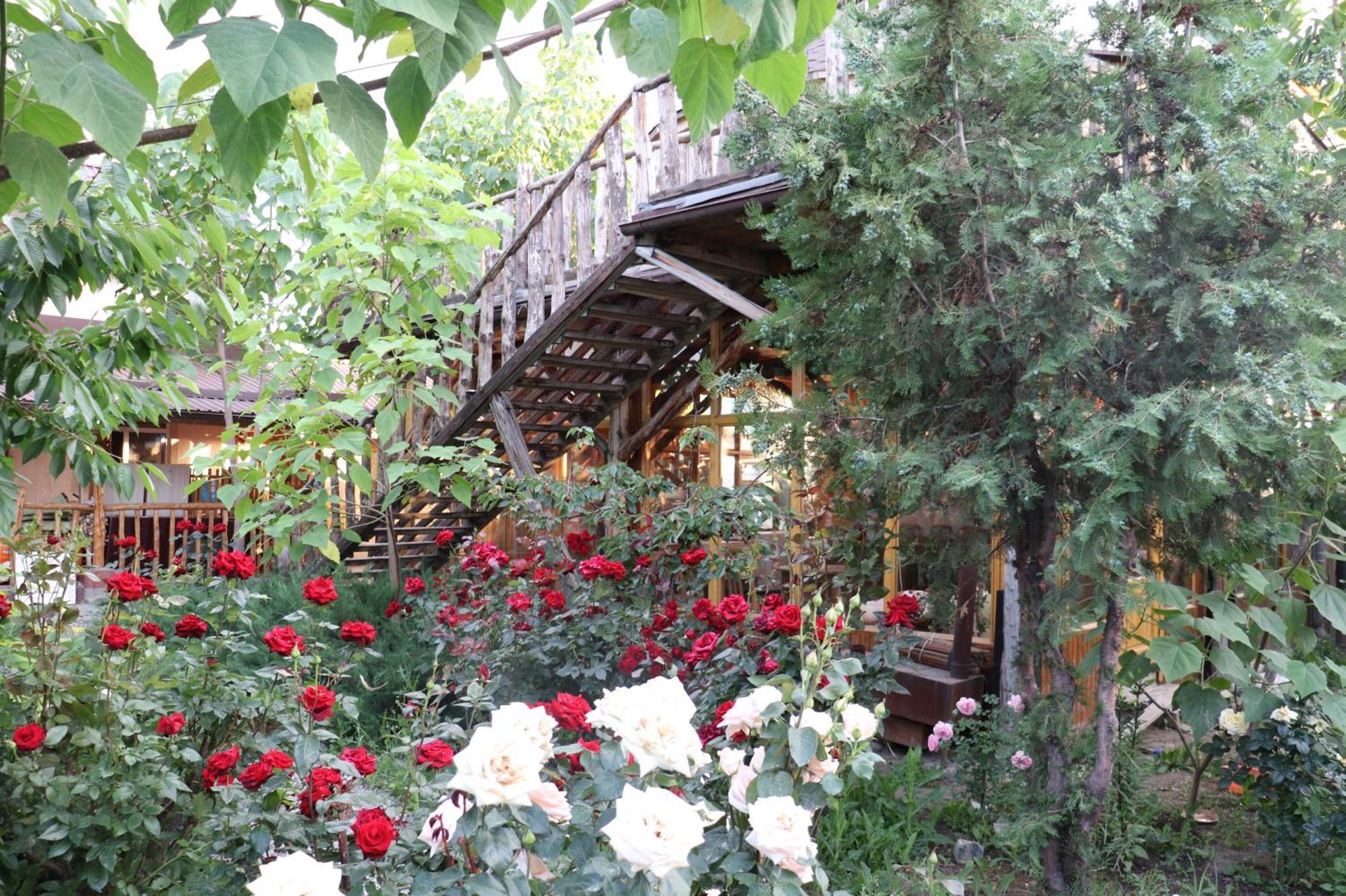 קראקול Happy Nomads Yurts & Hostel מראה חיצוני תמונה