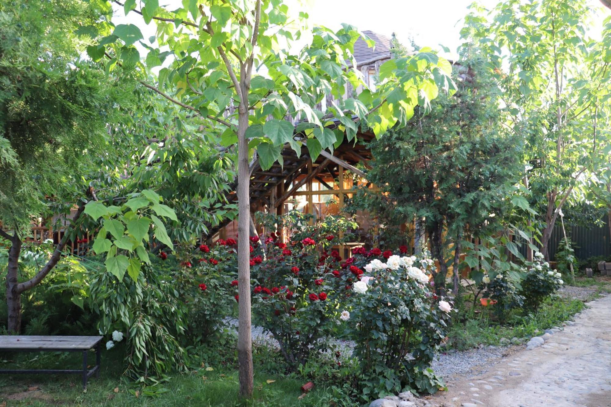 קראקול Happy Nomads Yurts & Hostel מראה חיצוני תמונה