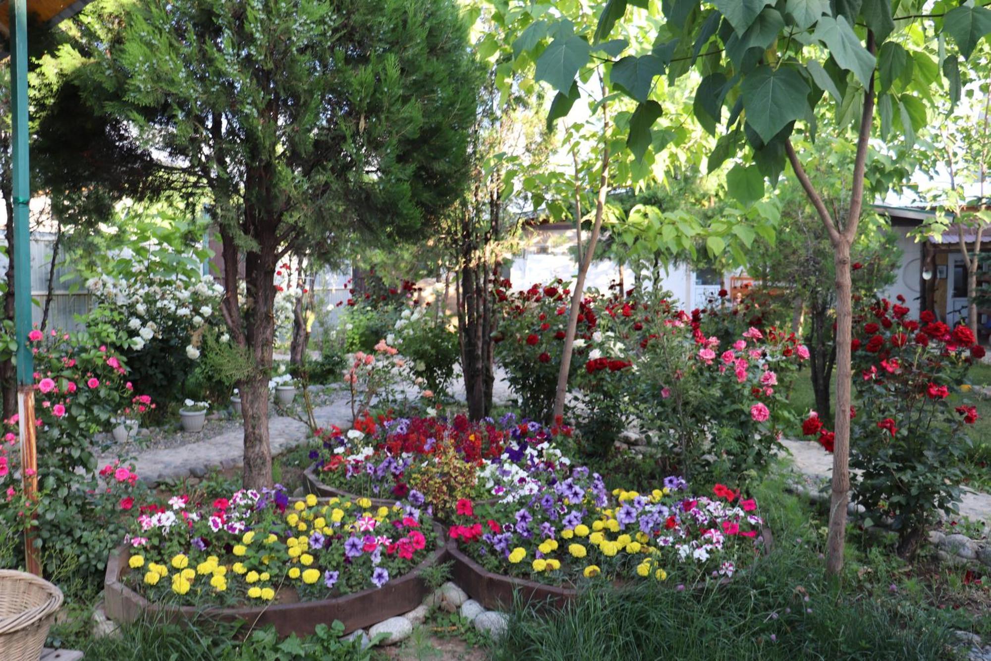 קראקול Happy Nomads Yurts & Hostel מראה חיצוני תמונה
