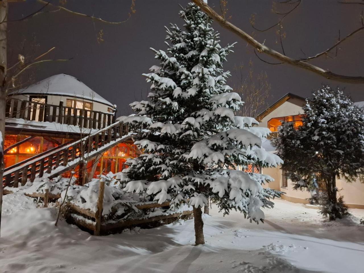 קראקול Happy Nomads Yurts & Hostel מראה חיצוני תמונה