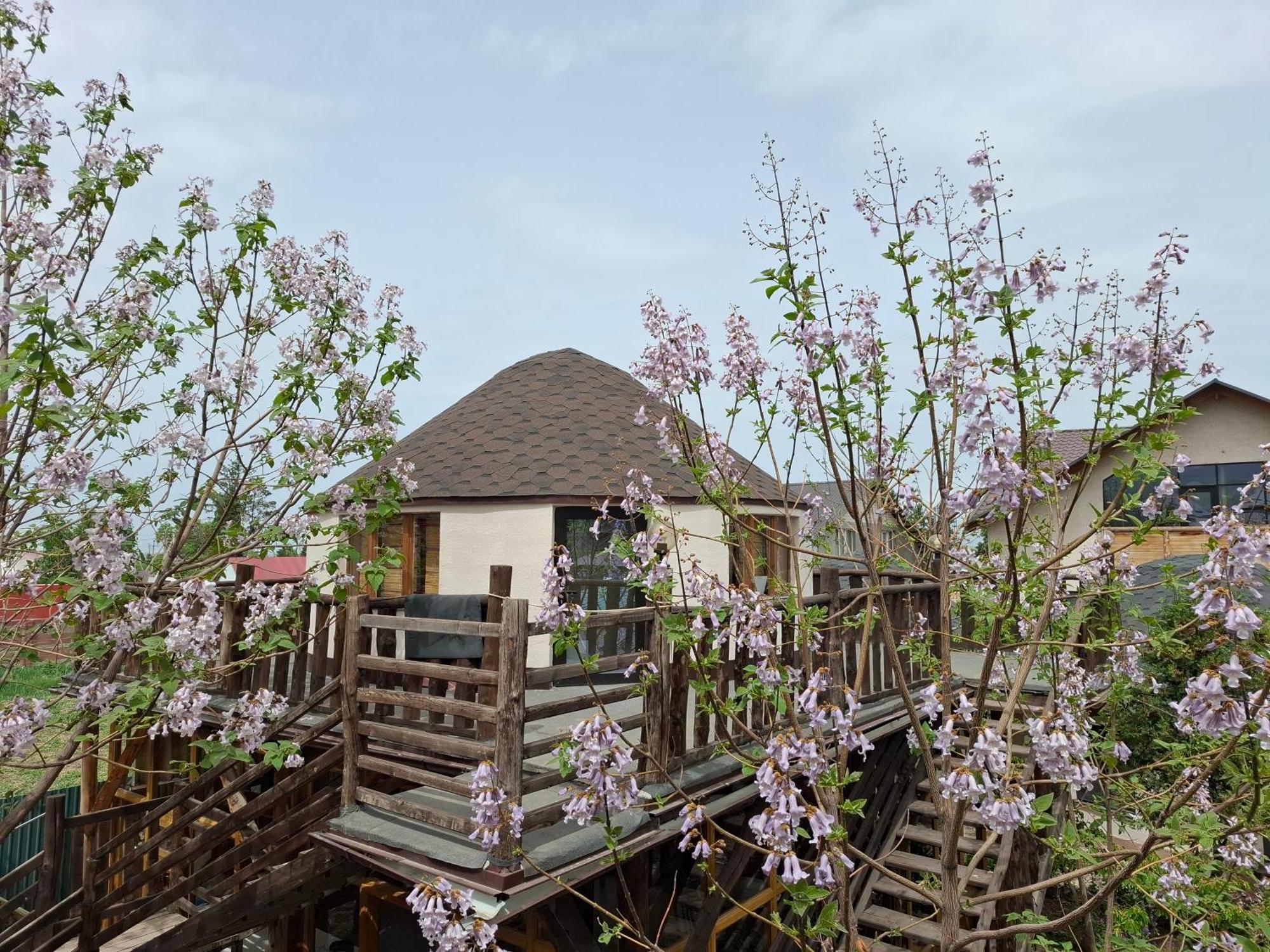 קראקול Happy Nomads Yurts & Hostel מראה חיצוני תמונה